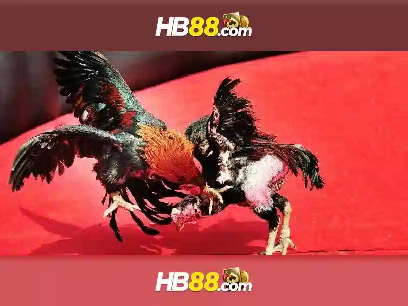 Hệ thống trò chơi slot