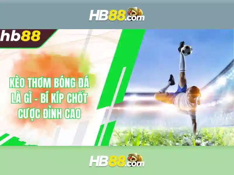 chính sách bảo mật HB88