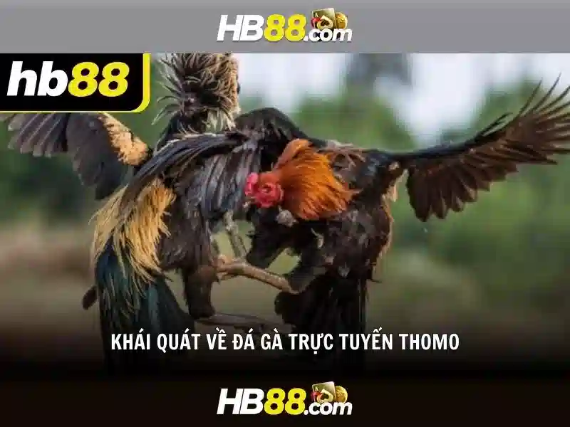 HB88 Đánh Giá Uy Tín Số 1 2026
