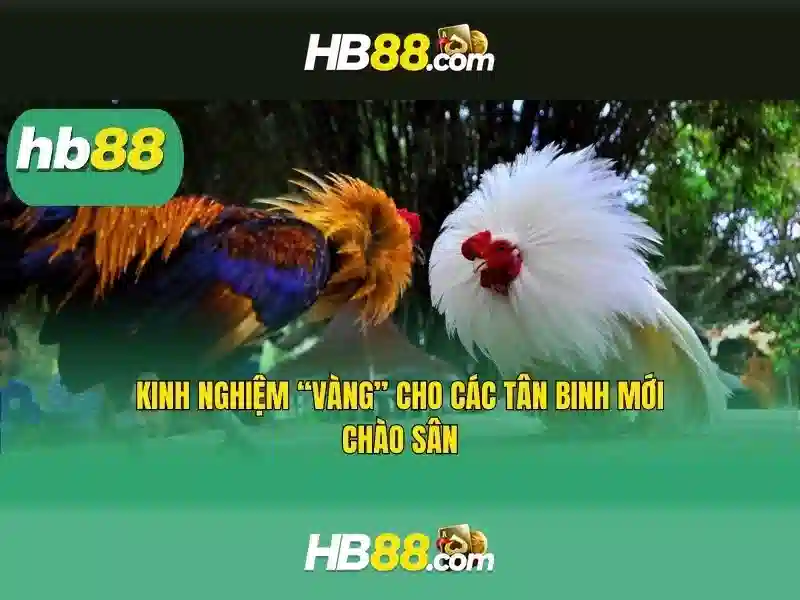 Các Trò Chơi Slot Đa Dạng Tại HB88