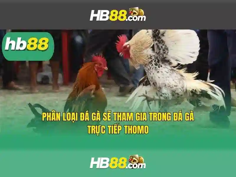 Tải App HB88 Trên Điện Thoại Di Động
