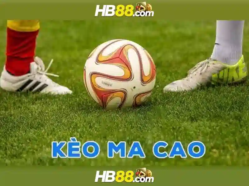 Trải nghiệm mới mẻ