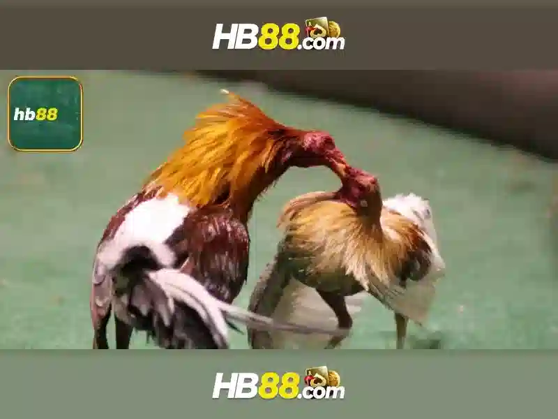 Hỗ Trợ Trực Tuyến HB88