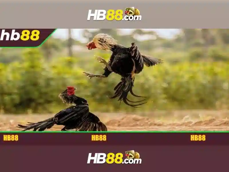 HB88 Link Vào Trang Chủ Chính Thức