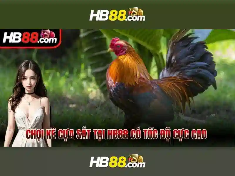 Tại HB88