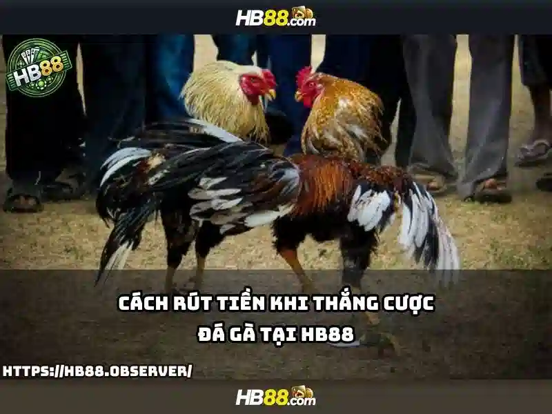 Hướng dẫn đăng ký HB88