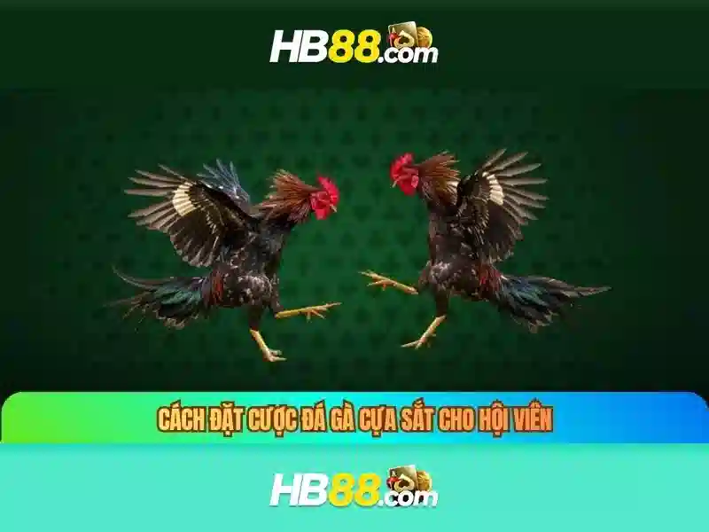 tra cứu thông tin HB88