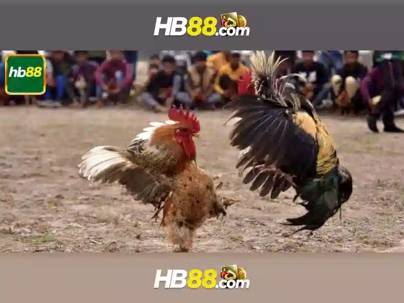 Cách Nạp Tiền Nhanh Chóng Tại HB88