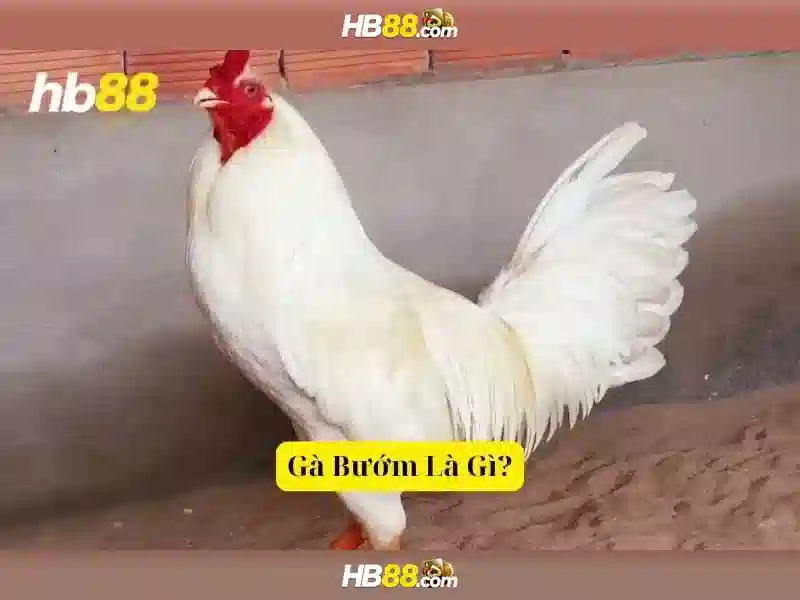 Đăng Nhập HB88 – Trang Chủ Uy Tín Số 1 Cho Người Chơi Slot 2026