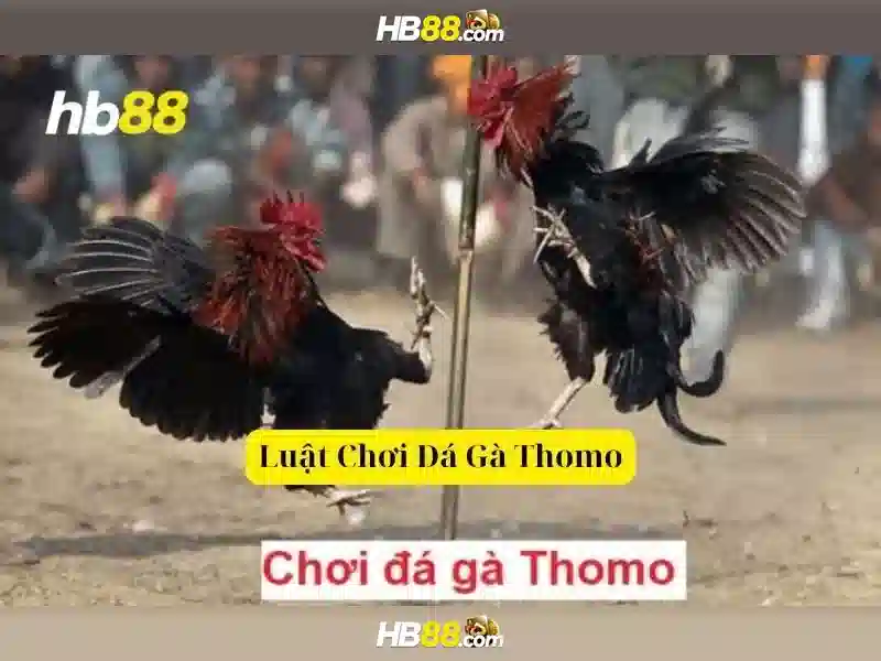 Bí kíp Slot HB88