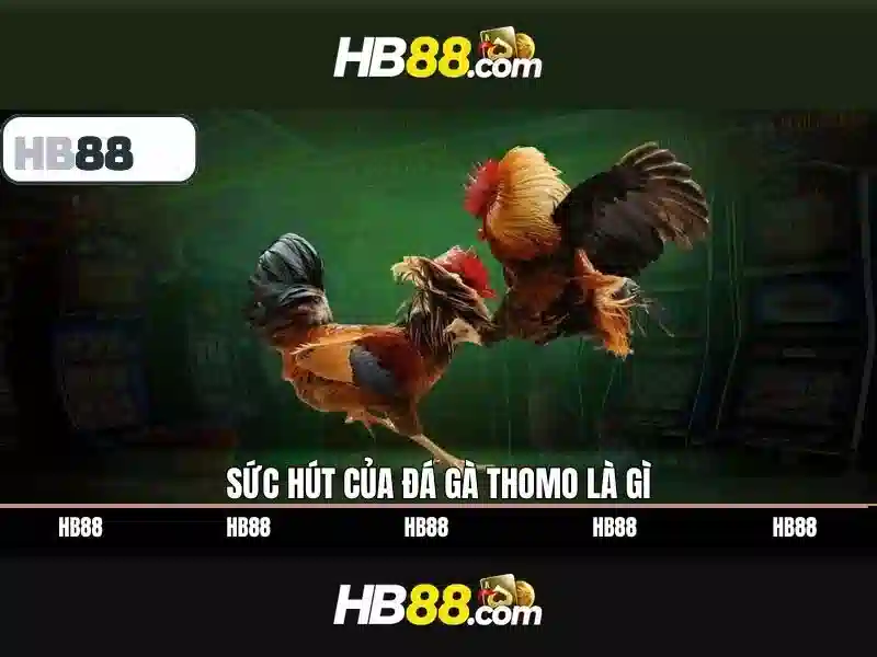 HB88 – Khoản Thưởng Slot Hấp Dẫn | Link Vào Trang Chủ HB88 Chính Thức 2026