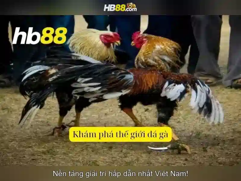 Trải Nghiệm Slot Tại HB88