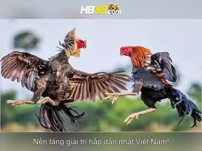 trò chơi đổi thưởng HB88
