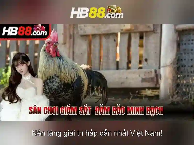 Hỗ trợ 24/7
