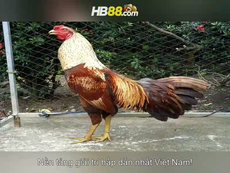 Trải Nghiệm Slot