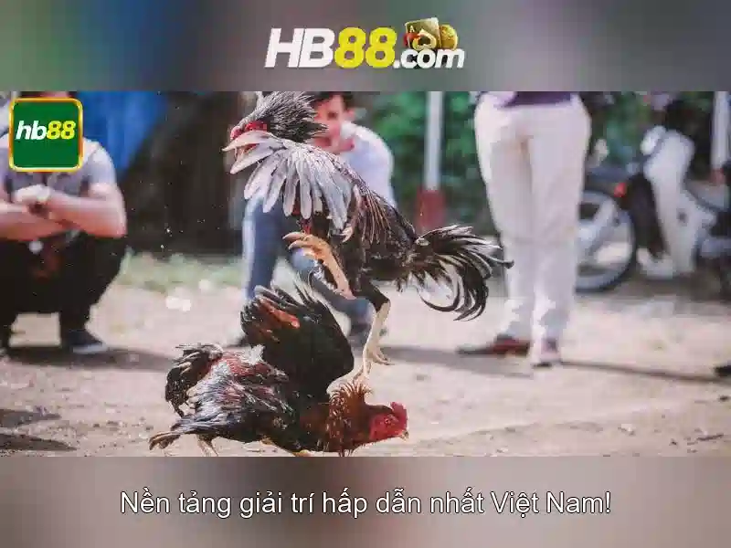 Tải HB88 – Cách Truy Cập Nhanh Cho Người Chơi Slot