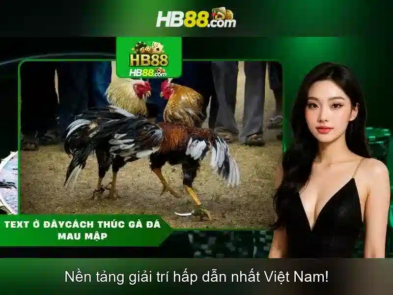 Ưu đãi HB88