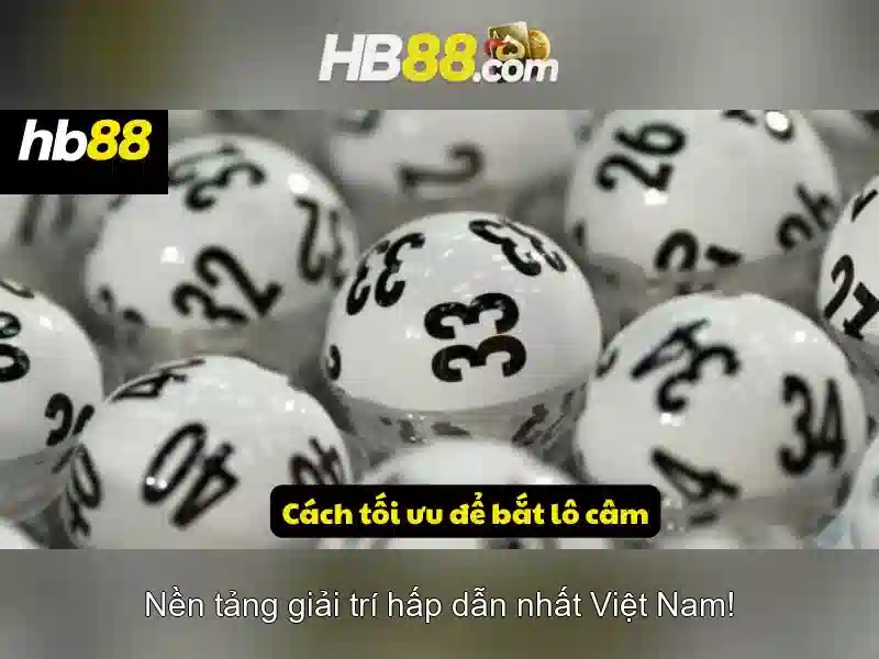 Ưu Đãi Độc Quyền Cho Thành Viên HB88