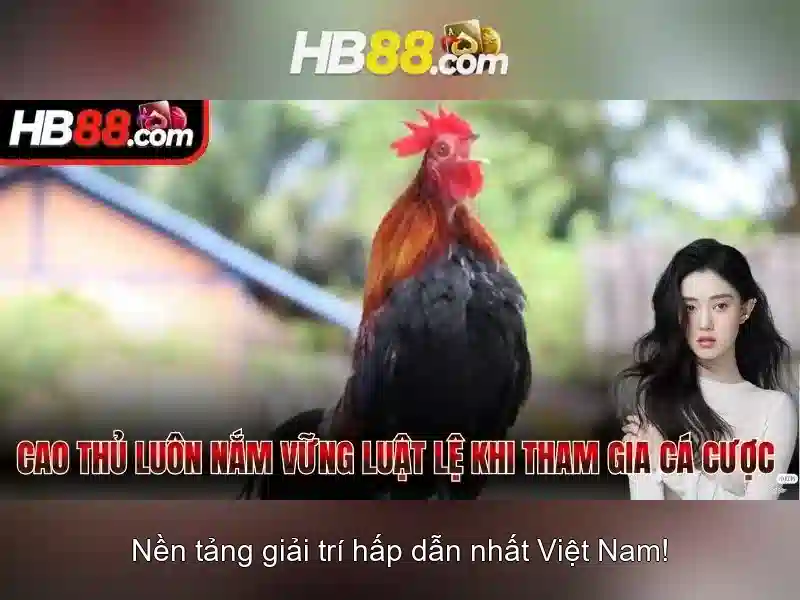 ưu điểm tải về máy tính HB88