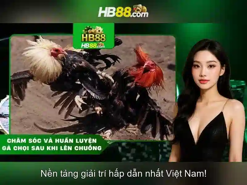 Khuyến mãi hấp dẫn