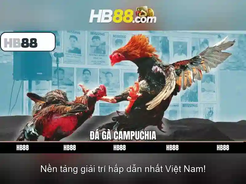 Tính Năng Tự Động Cược